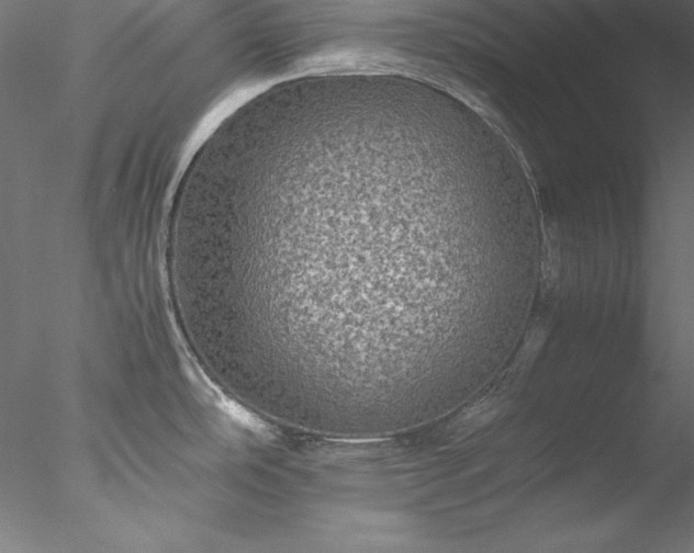 X0000078021486200611031443