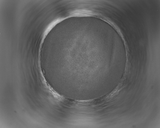 X0000078021488200611031443