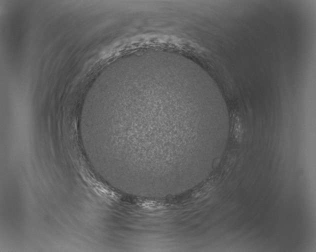 X0000078021489200611031442