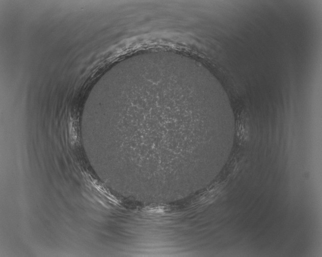 X0000078021490200611031442