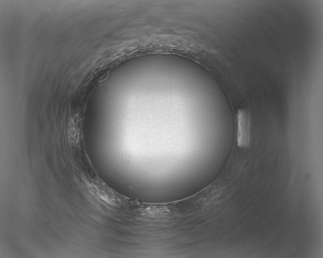 X0000078021491200611031442