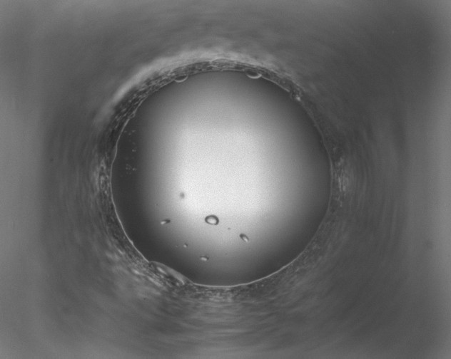 X0000078021495200611031442