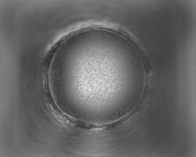 X0000078021496200611031442