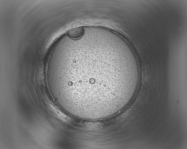 X0000078021498200611031442