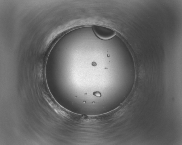 X0000078021499200611031442