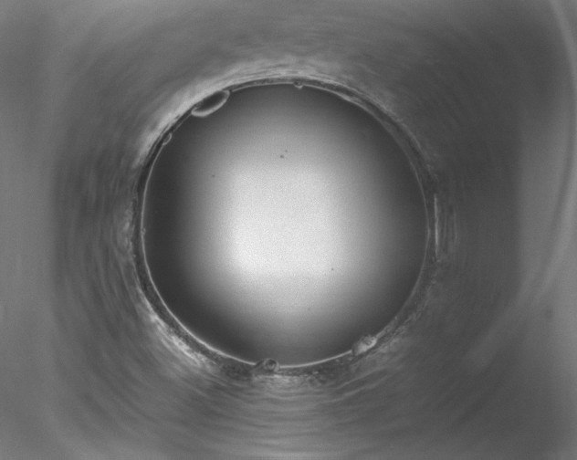 X0000078021500200611031442