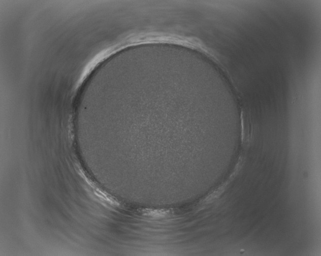 X0000078021501200611031442