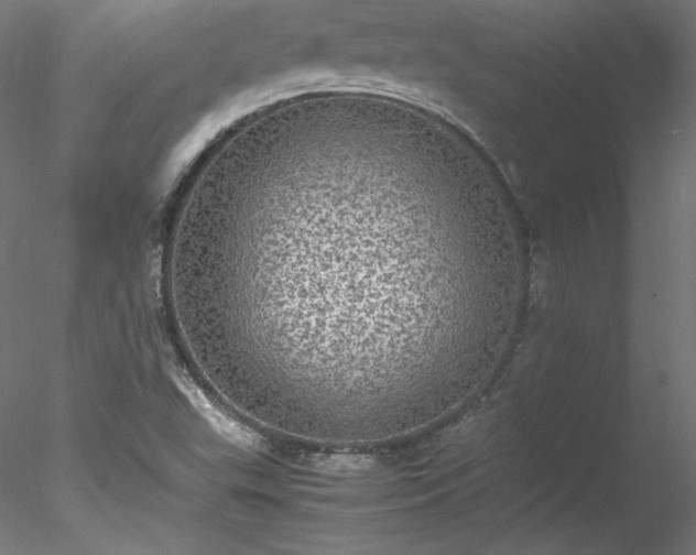 X0000078021503200611031442