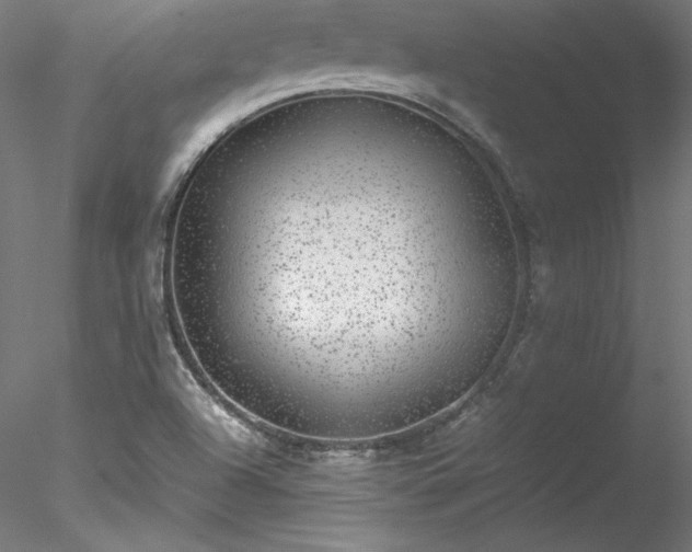 X0000078021504200611031442