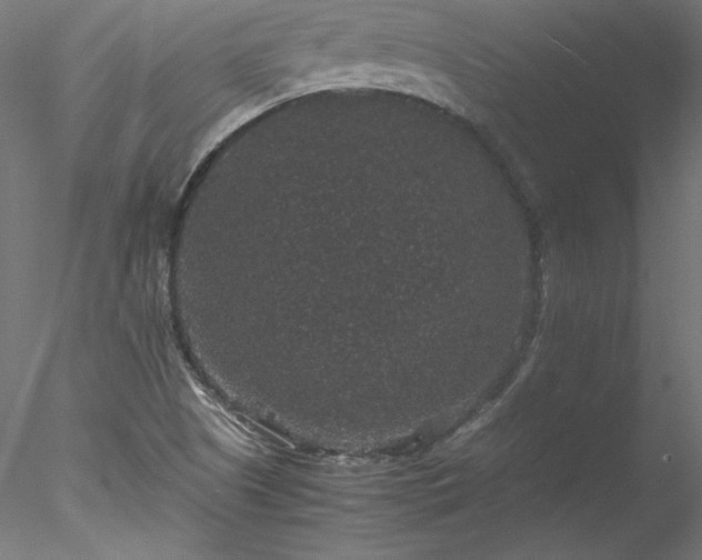 X0000078021505200611031442