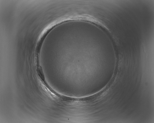 X0000078021506200611031442