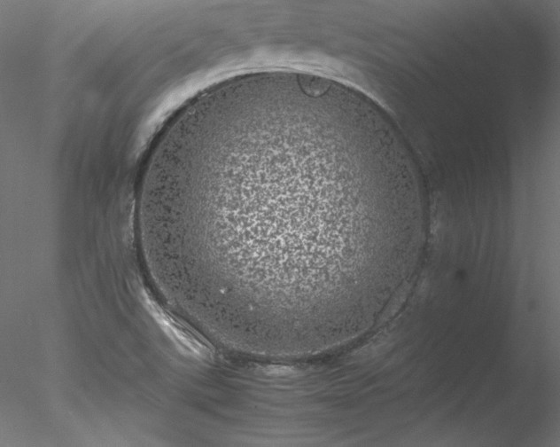 X0000078021507200611031442