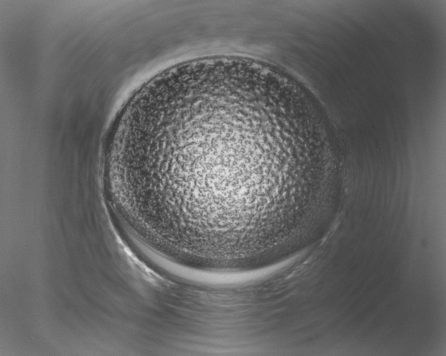 X0000078021508200611031442