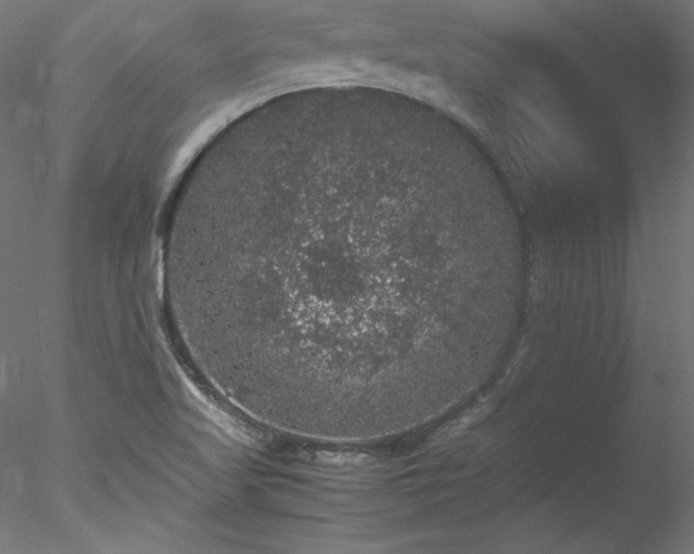 X0000078021509200611031442