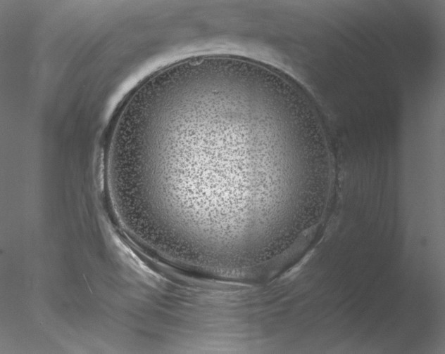 X0000078021510200611031443