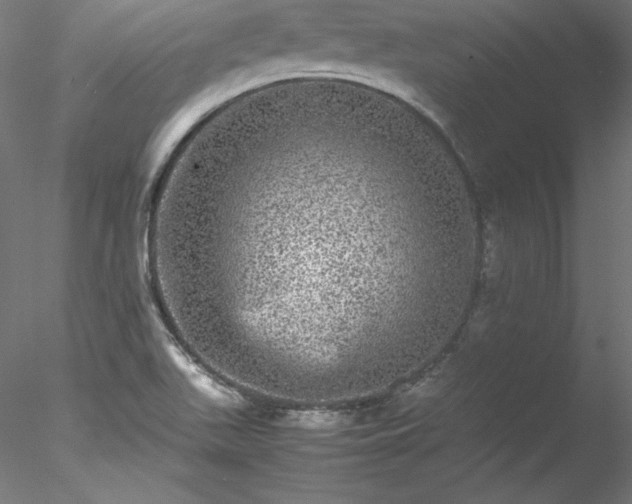 X0000078021511200611031443