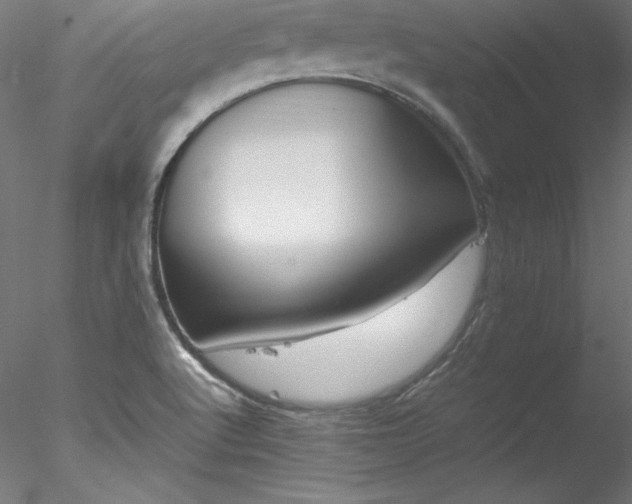 X0000078021512200611031443