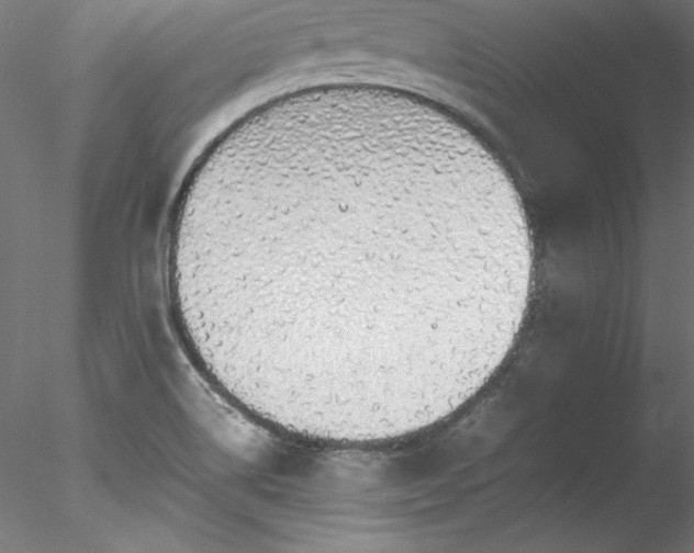 X0000078021514200611031443