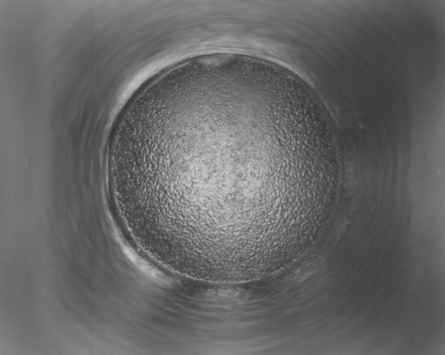 X0000078021515200611031443