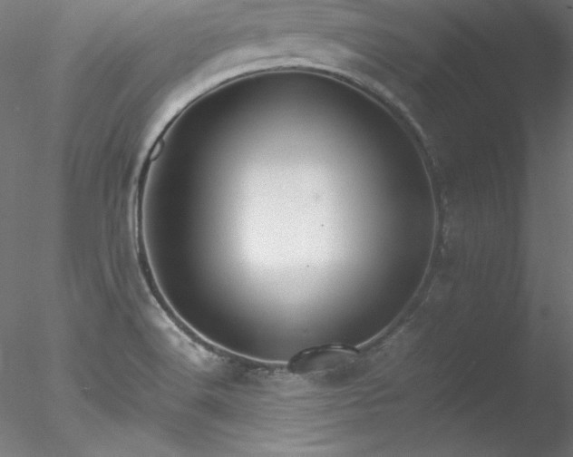 X0000078021516200611031443