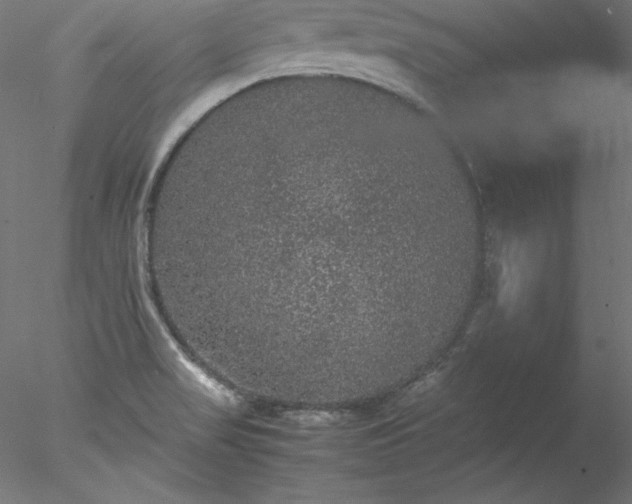 X0000078021517200611031443