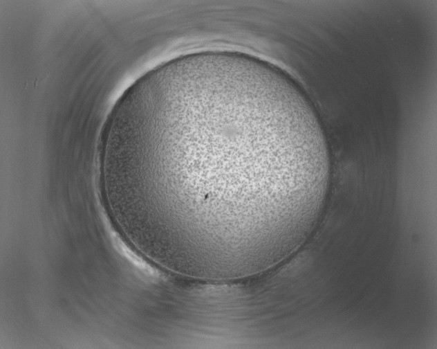 X0000078021518200611031443