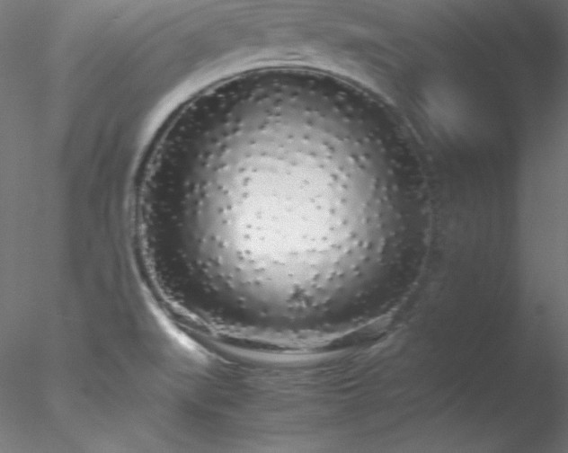 X0000078021519200611031443