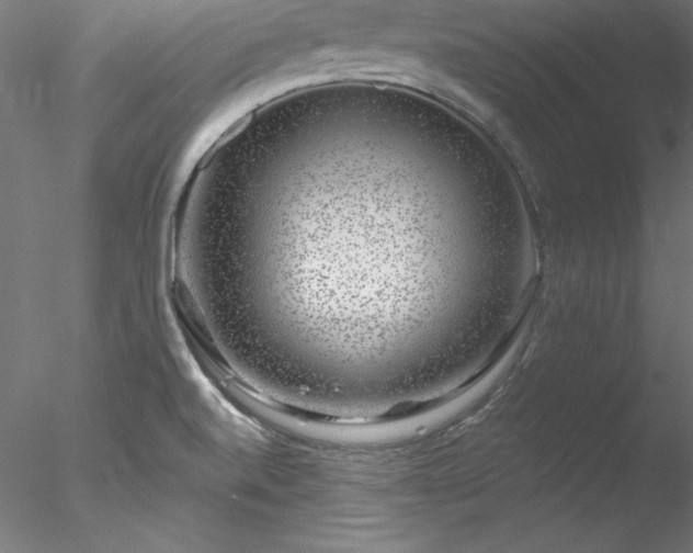 X0000078021520200611031443