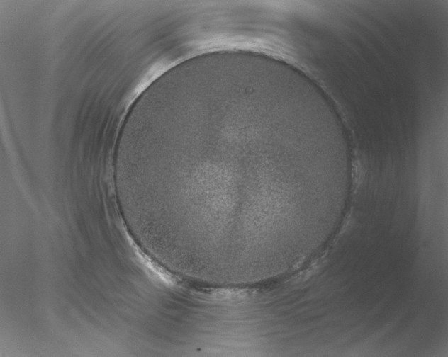 X0000078021521200611031443