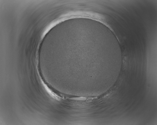 X0000078021523200611031443