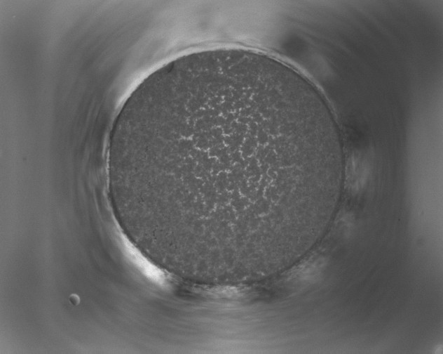 X0000078021524200611031443