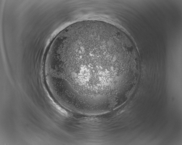 X0000078021525200611031443