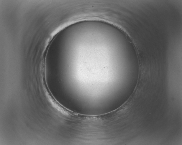 X0000078021526200611031443