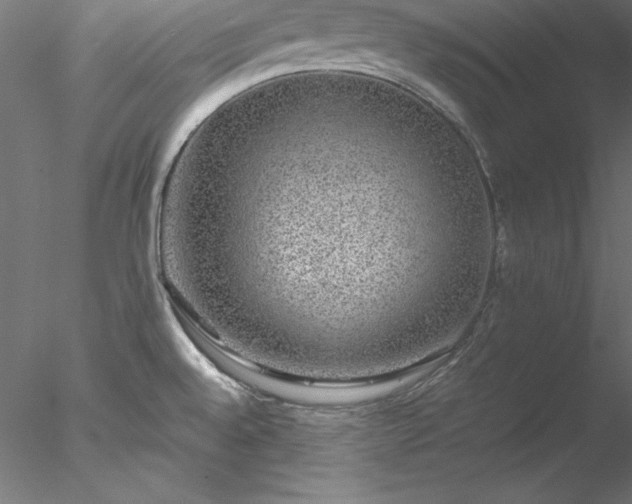 X0000078021528200611031443