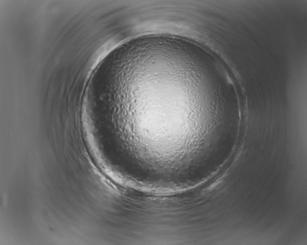 X0000078021529200611031443