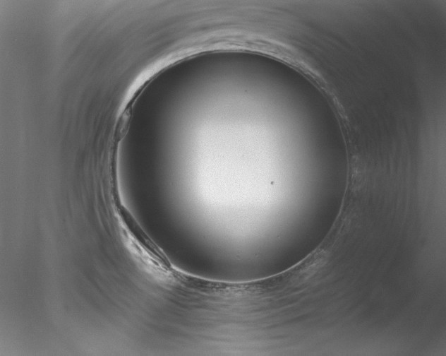 X0000078021530200611031443