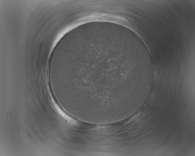 X0000078021531200611031443