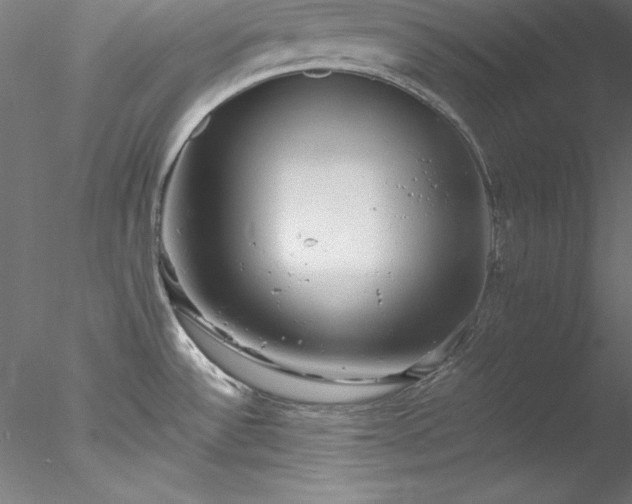 X0000078021532200611031443