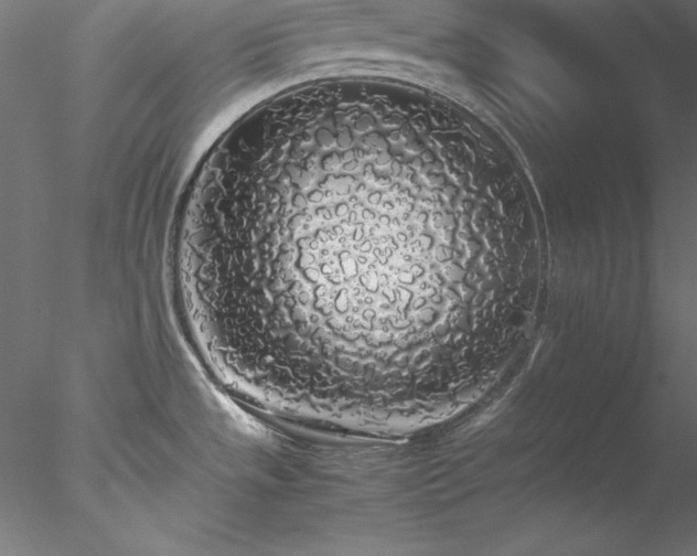 X0000078021533200611031443