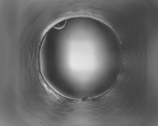 X0000078021534200611031443