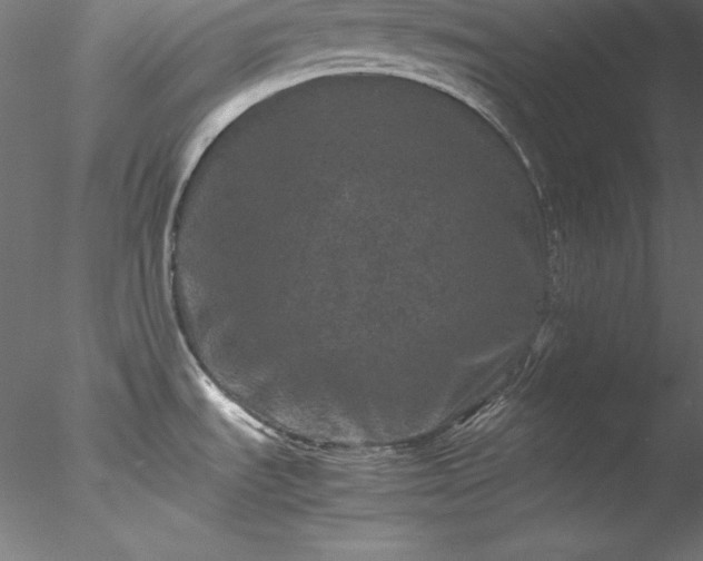 X0000078021535200611031443