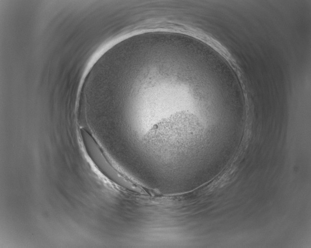 X0000078021536200611031443