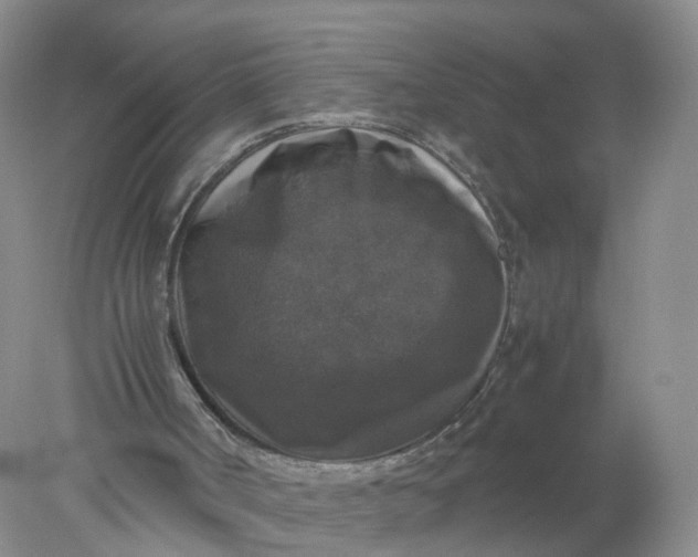 X0000078020002200611101859