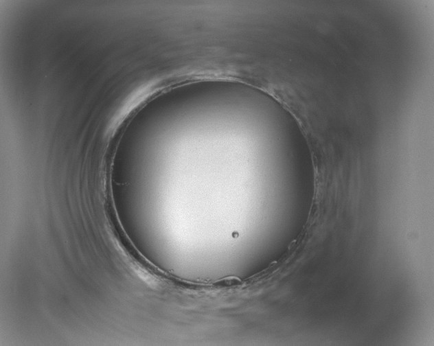 X0000078020005200611101859