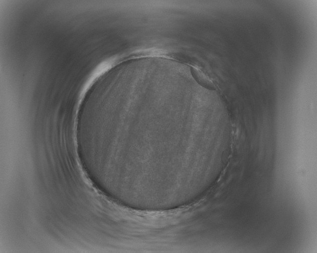 X0000078020006200611101859