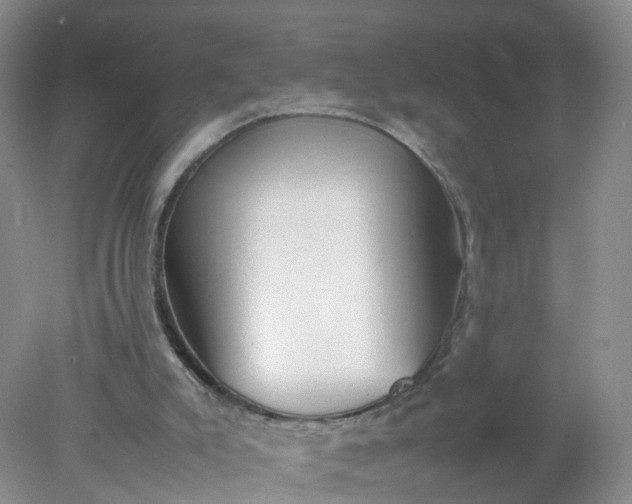 X0000078020007200611101859