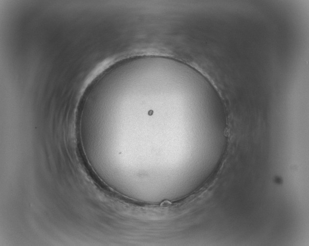 X0000078020008200611101859