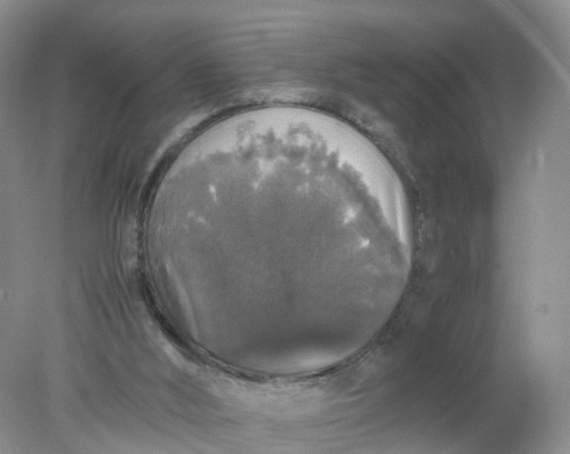 X0000078020012200611101859