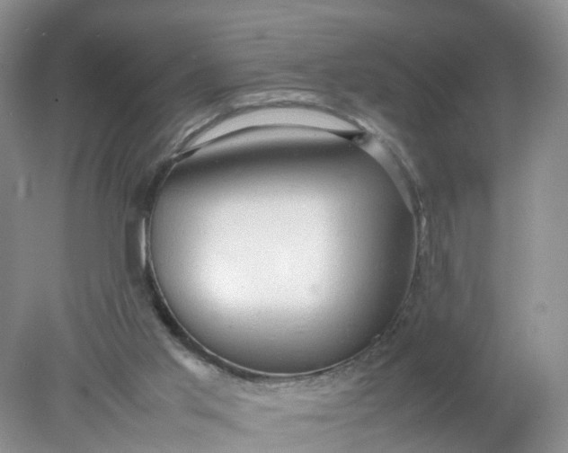 X0000078020013200611101859