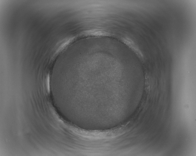 X0000078020014200611101858